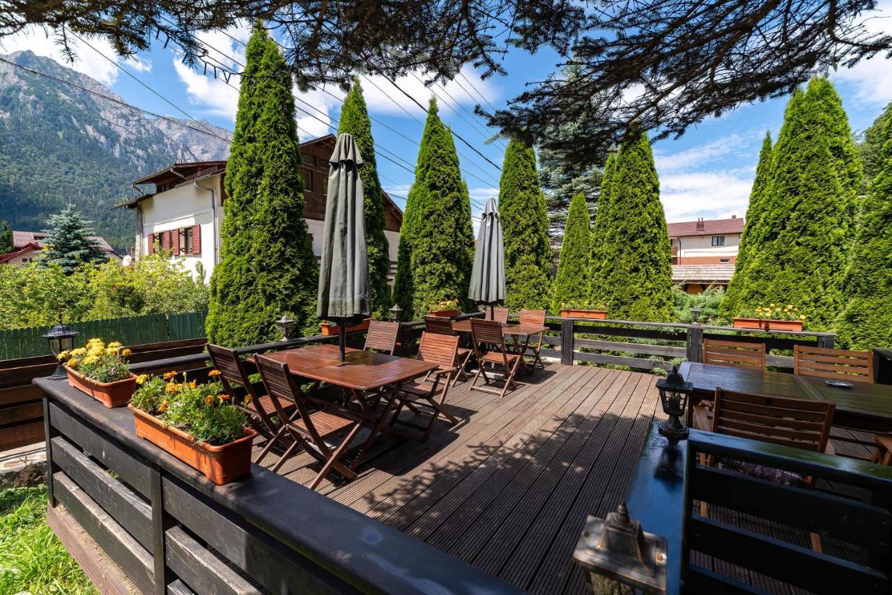 Casa Freya Otel Buşteni Dış mekan fotoğraf