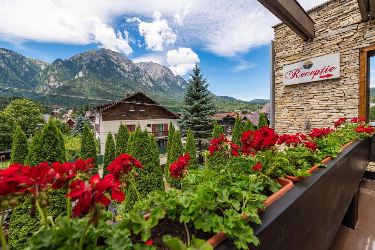 Casa Freya Otel Buşteni Dış mekan fotoğraf